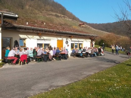 Photo: Franken Weingut Bauerschmitt